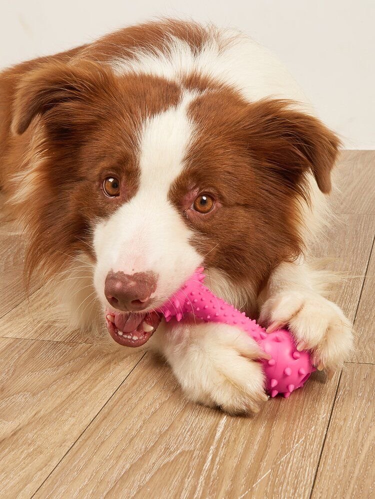 Beneficios de los Juguetes Masticables Hechos de Materiales Seguros para Perros